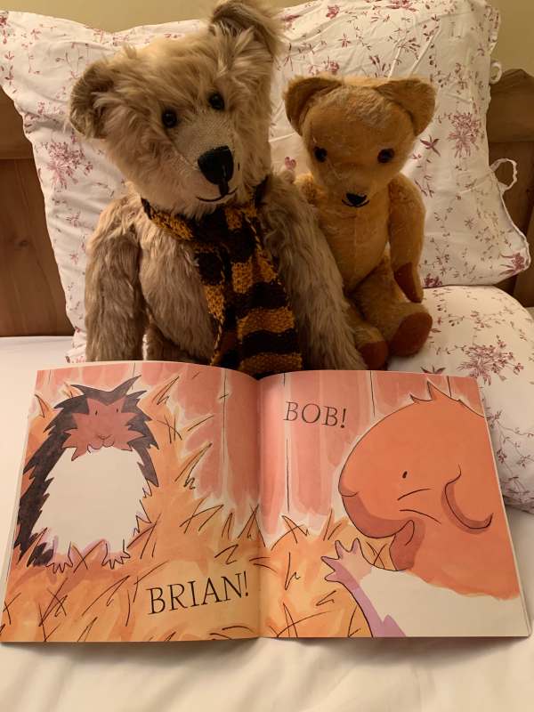 Bertie and Eamonn studying a page of the book "My Best Friend, Bob". There is a picture of two animals, one called Brian, the other called Bob.