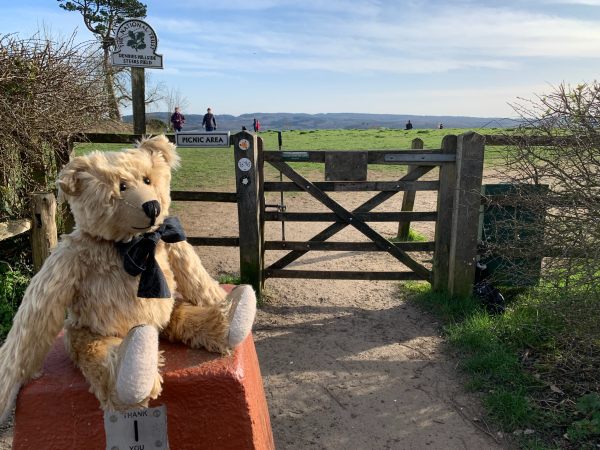 Bertie sat on a stone donations box. Steer's Field is behind with Greensand Ridge in the distance.