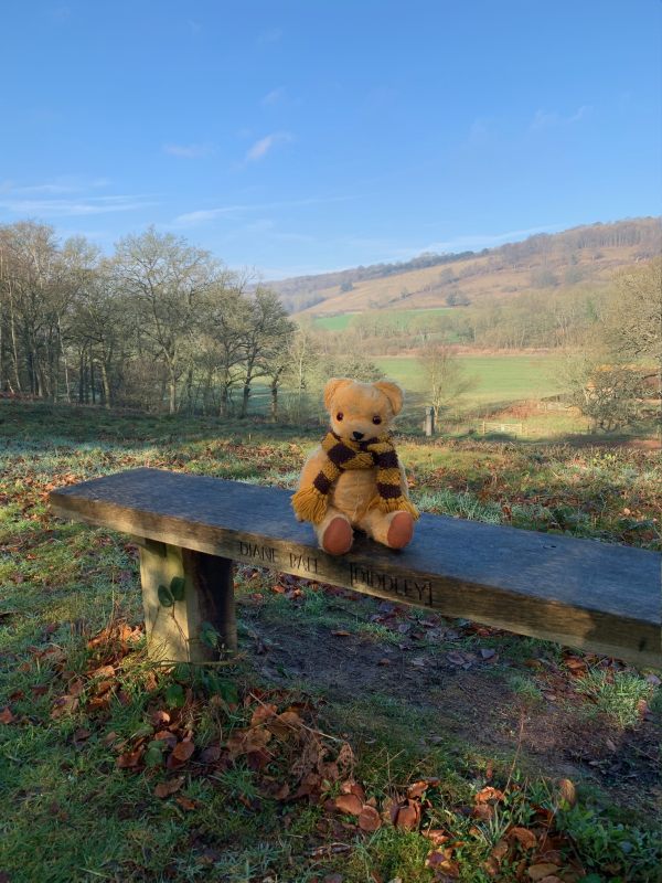 Eamonn sat on Diddley's Bench (wearing Bertie's Sutton United scarf) on his Day Out.