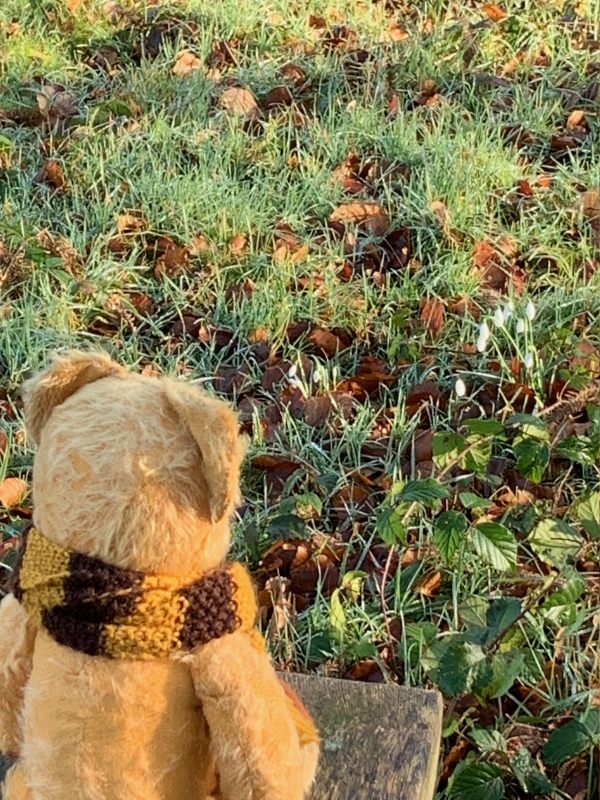 Rear view of Eamonn looking down at the grass and the leaves.