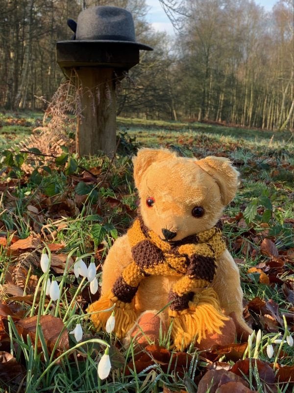 Eamonn sat on the grass amongst the leaves. Diddley's Bench in the background, with Bobby's hat on it.