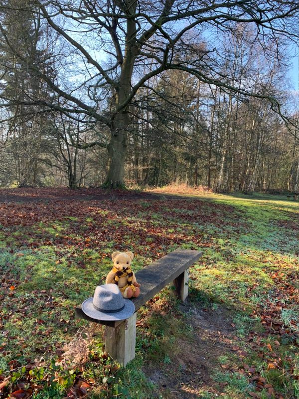 Eamonn sat on Diddley's Bench next to Bobby's hat.