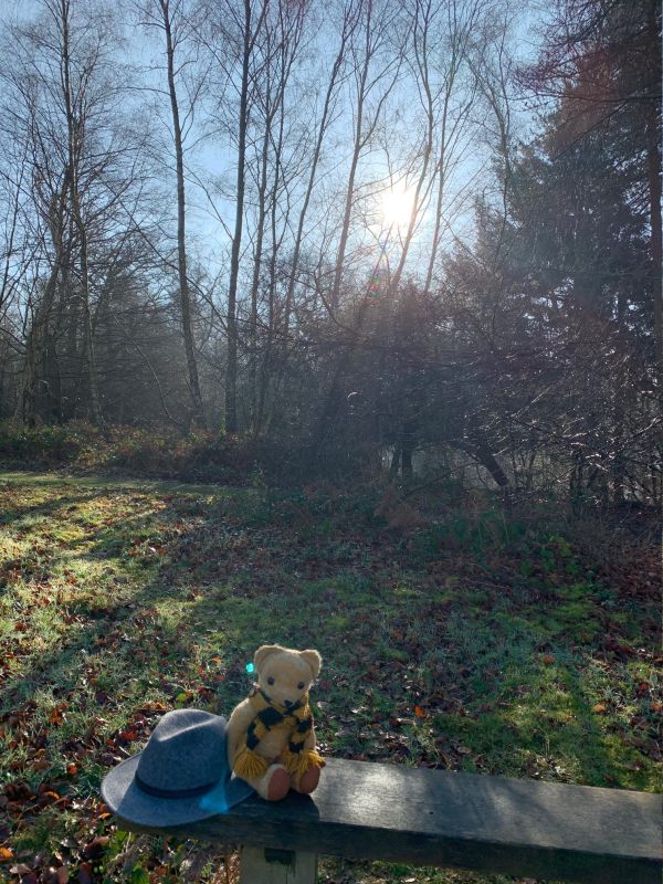 Eamonn sat next to Bobby's hat on Diddley's bench, with the fading spring sun in the background.