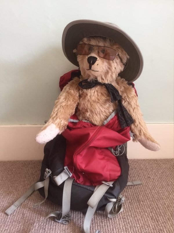 Bertie in the rucksack wearing sunglasses and a hat.