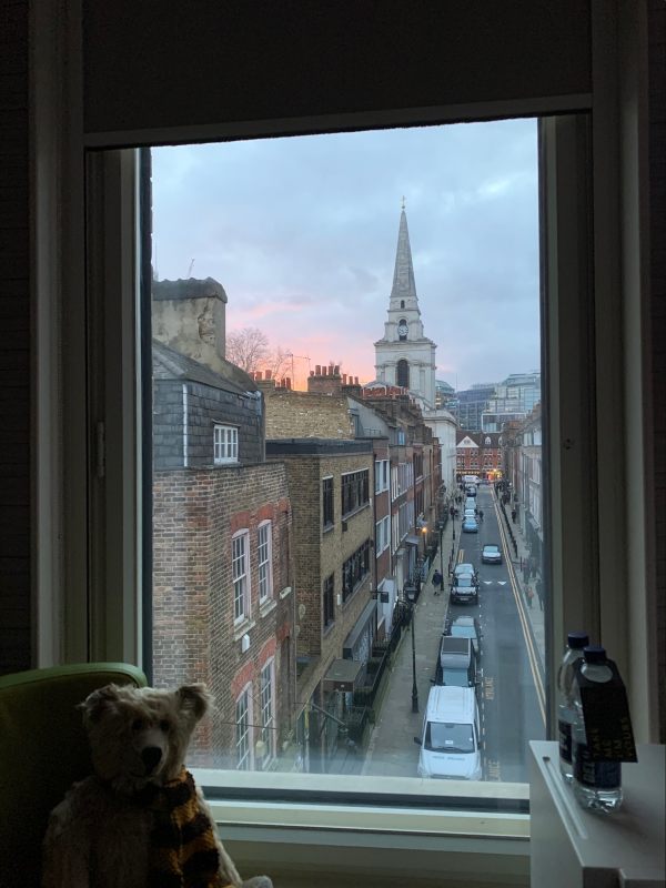Bertie in the window of room 311, with the view of the sunset over Fournier Street to Christ Church and Spitalfields.
