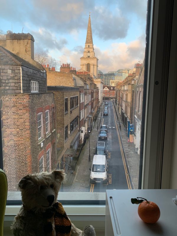 Bertie in the window of room 311, with the view of Fournier Street to Christ Church and Spitalfields at dawn on the Sunday morning.
