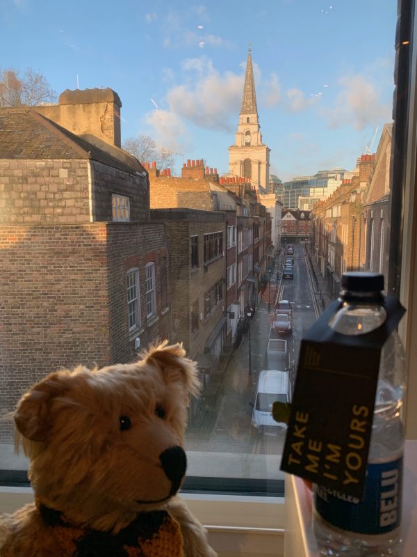 Bertie in the window of room 311. The view of Fournier Street leading to Christ Church in the background. Next to Bertie is a bottle of water with a label saying "Take me, I'm yours".