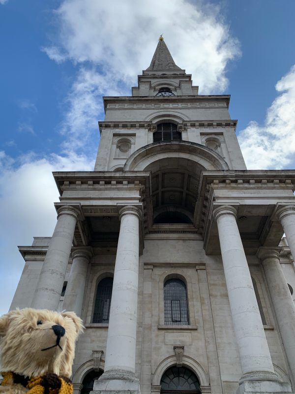 Bertie, wearing his Sutton United scarf, looking up towards the top of Christ Church tower.