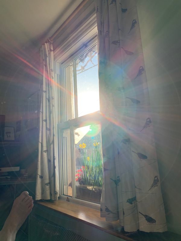 S I D (Self Isolation Day): A bare foot and the sun streaming in through the window.