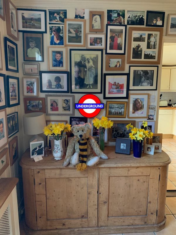 Bertie sat on a cupboard with a wall full of family pictures behind, along with a lit London Underground roundal.