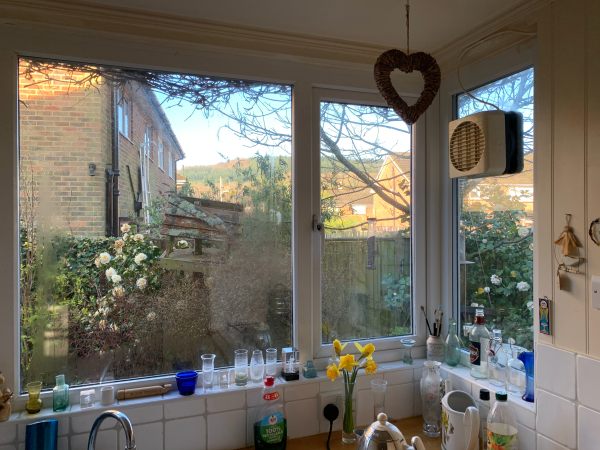 View through the kitchen window.