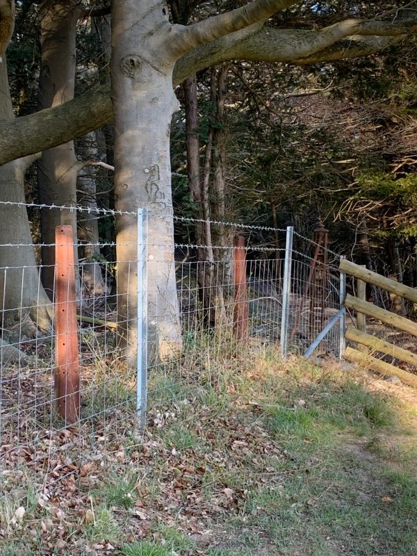 Somewhat tasteless modern fencing in order to comply with modern stock-proofing regulations - including two lines of barbed wire!