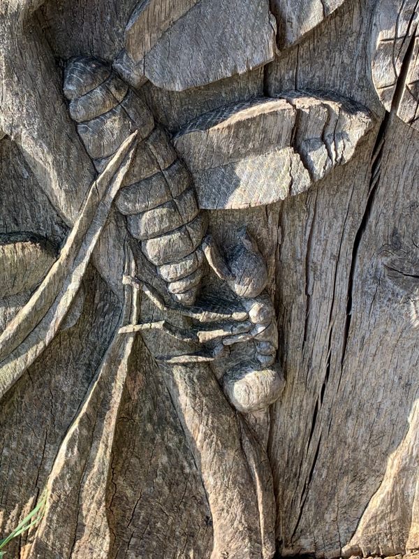 All represented in the wooden sculpture: From ant to pupa to horseshoe vetch to …