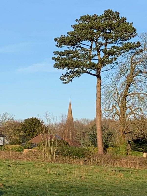 The end of the walk. St Barnabas. A small church, with a 700 feet steeple seen for miles around. “The Church on the North Downs Way”.