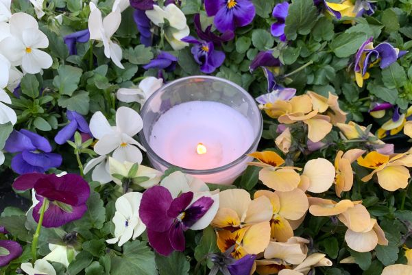 A tealight candle in a glass holder amongst colourful spring flowers lit for Diddley.