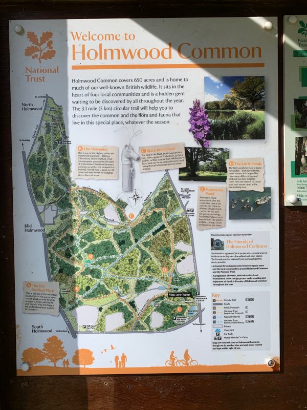 Holmwood Common Map and Information Board.