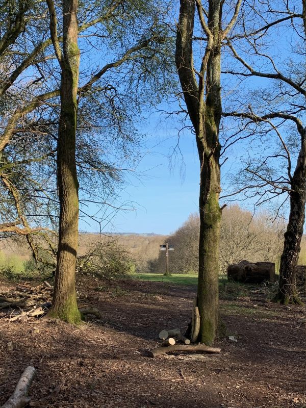 Heading towards the "Viewpoint". Looking north to the North Downs and Denbies Hillside.