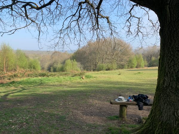 A wooden bench under a tree, with Bobby's hat and coat on one end.