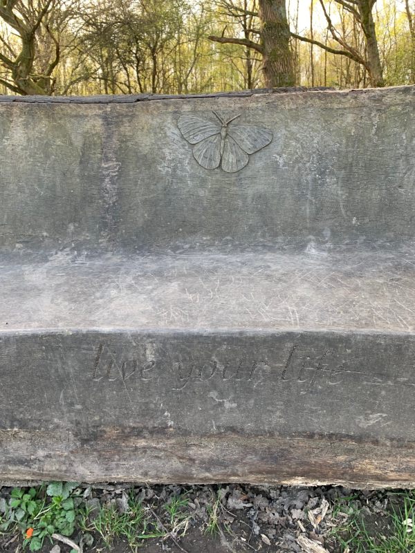 Close up of wooden bench carved out of an old tree trunk with "Live your life" cut into the front.