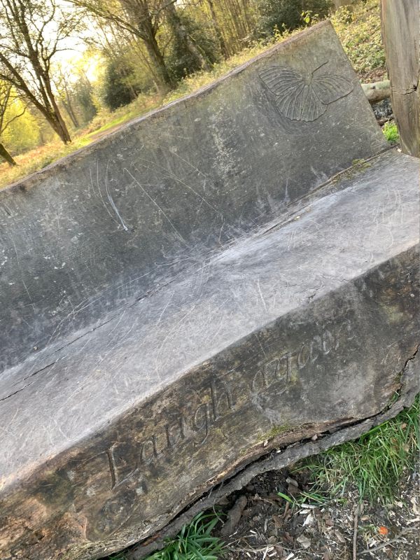 Close up of wooden bench carved out of an old tree trunk with "Laugh again" cut into the front.