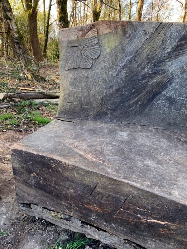 Close up of wooden bench carved out of an old tree trunk with "Be free" cut into the front.