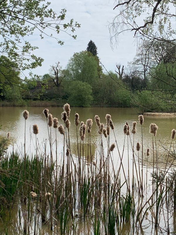 Fourwents Pond.