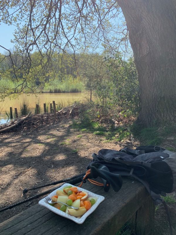 Bobby's heathy lunch in a bowl on a wooden bench by the pond.