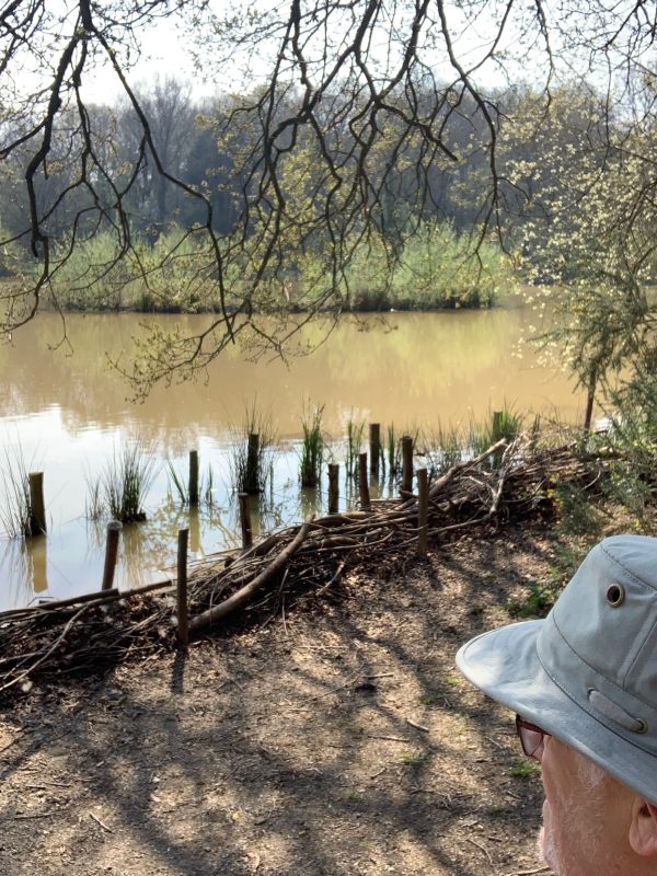 Bobby looking out over the pond.