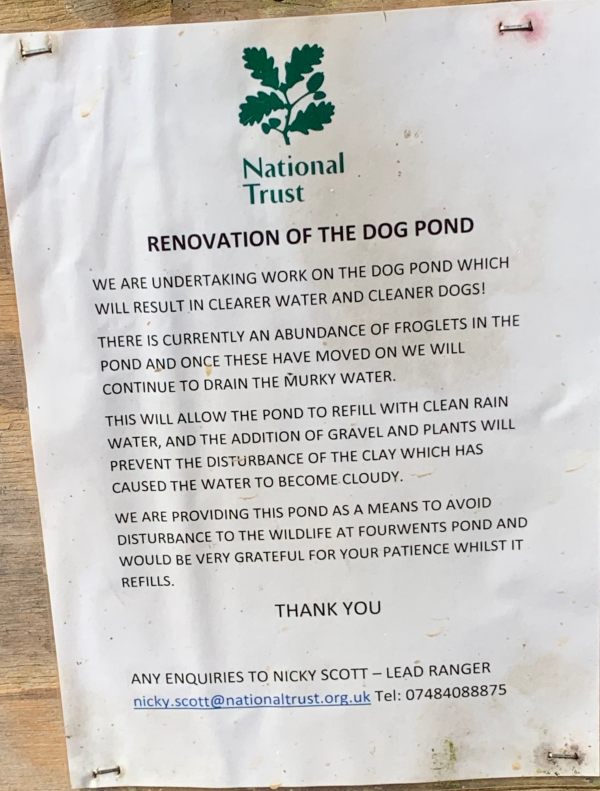 Notice about the renovation of the Dog Pond.