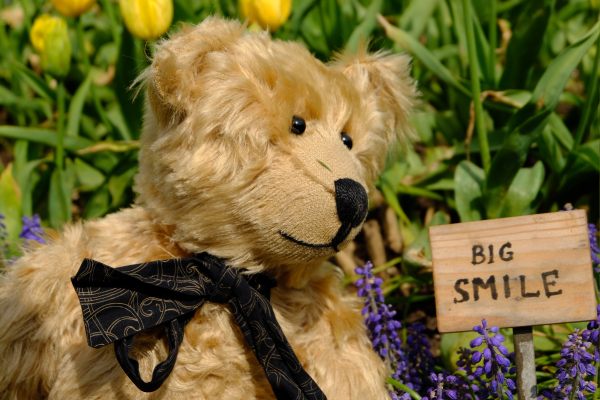 Bertie looking at a sign that says "Big Smile" in Dubsborough Park Gardens.