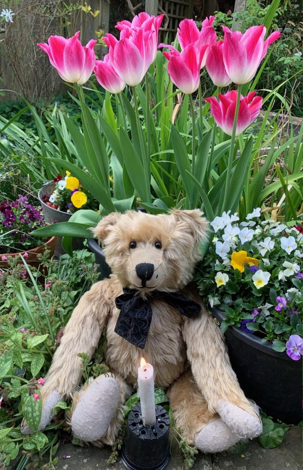 Bertie, sat in front of some tulips, with a lit candle for Diddley in front of him.