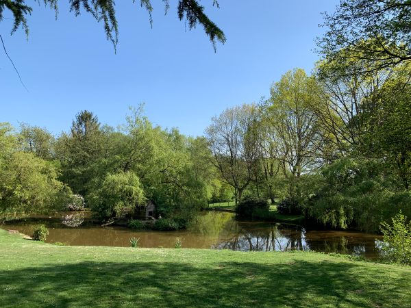 A lovely calm lake, with grass on one side and overhanging trees on the other.