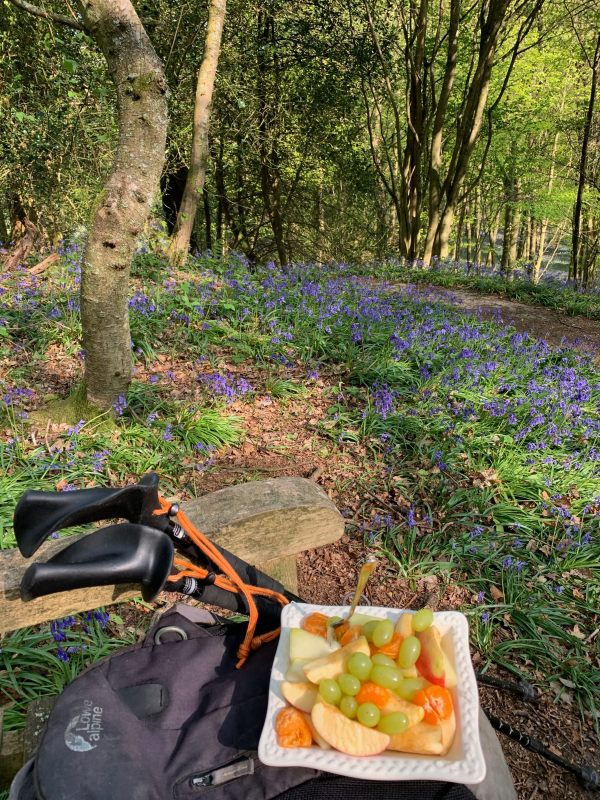 Bobby's lunch, consisting of bite size pieces of fruit in a square white bowl, along with his walking sticks resting on the bench.