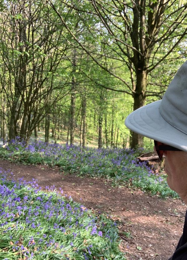 Bobby looking out over the Bluebell Woods.