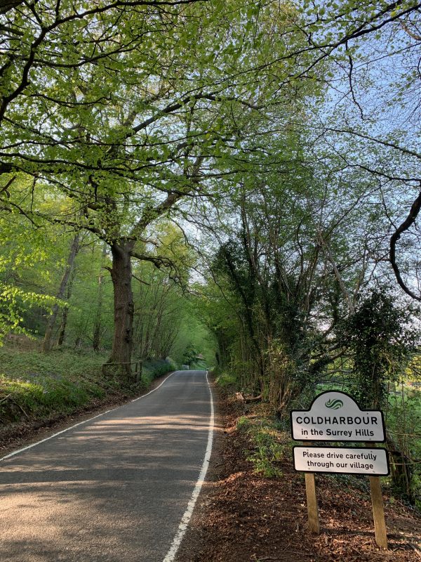 Leafy tree-lined country lane and the road sign for Coldharbour.