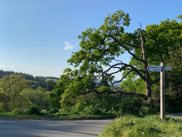 Open countryside outside Coldharbour. A T-Junction and wooden signpost.
