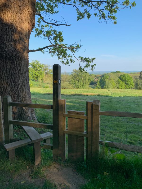 A good stile. Two steps. A stabilising pole. A dog gate.