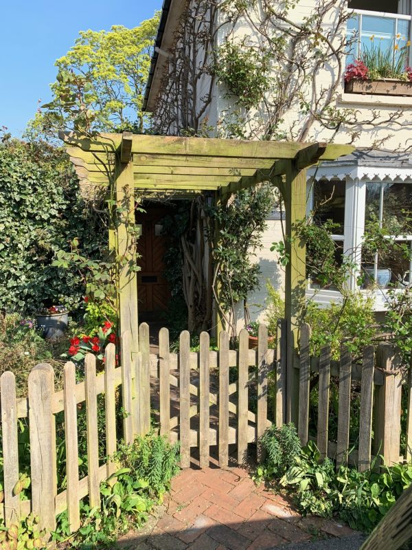 The pergola sees the light after the Clematis Montana is chopped down.