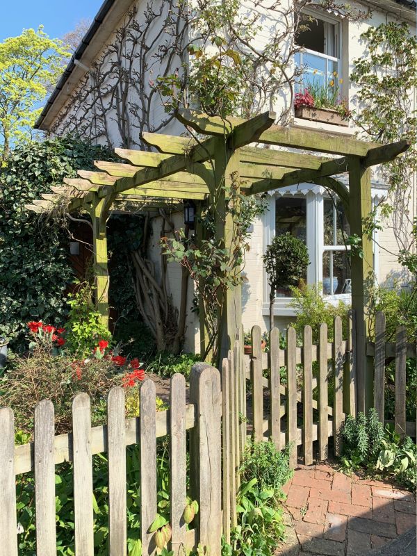 The pergola sees the light after the Clematis Montana is chopped down.