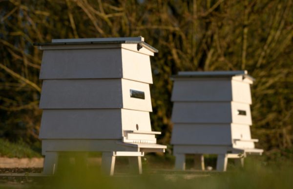 The Rolls-Royce Bee Hives.