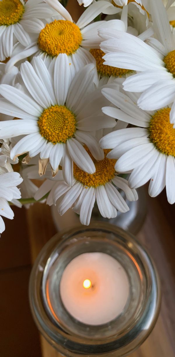 Lighting a candle for Diddley - a lit tea-lite in a glass holder amongst some Moon Daisies.