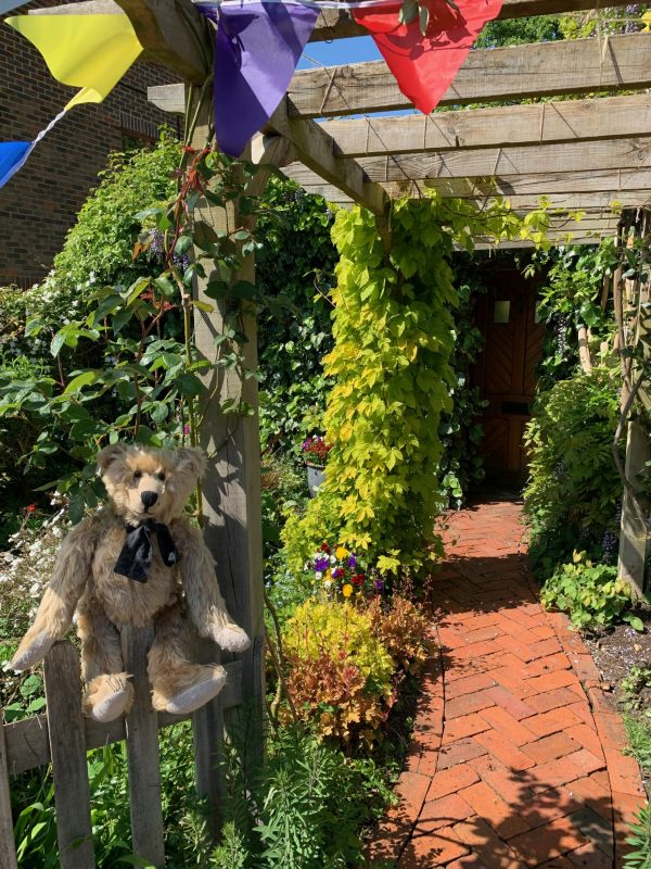 Bertie sat on the fence by the Victorian curved herringbone pathway under the pergola at laurel Cottage.