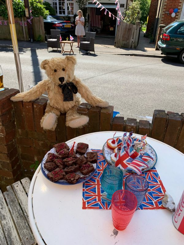 Bertie sat on the fence looking at a delicious plate of Chocolate Brownies.