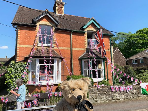 Bertie on the fence with the decorated house across the road behind.