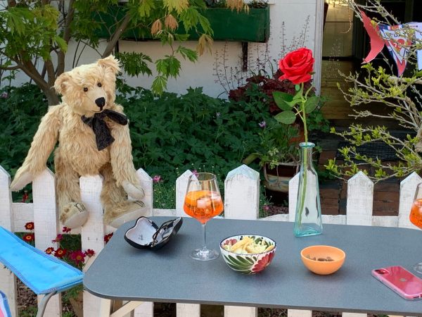 Bertie sat on a white picket fence looking longingly at a table which has a glass of Pimms on it, along with some nibbles and a single red rose in a vase. And Bobby's glasses!