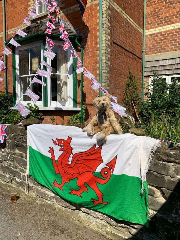 Bertie sat on a wall with a Welsh flag draped over it.