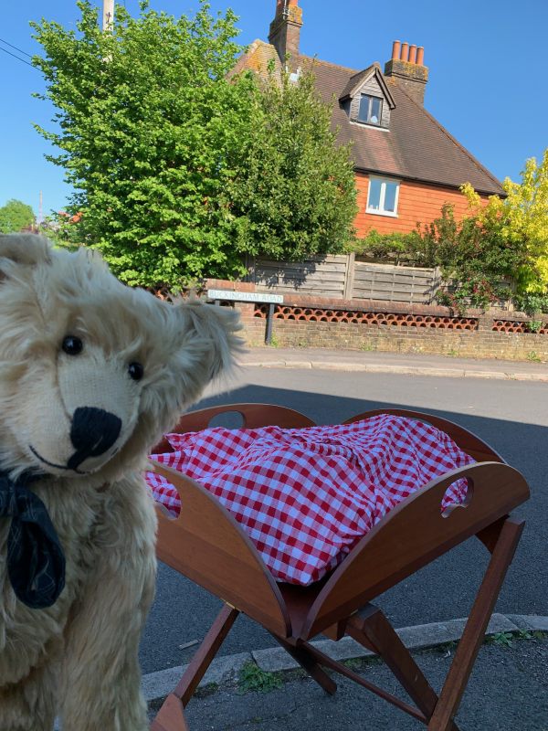 Bertie looking cheekily at a table with its sides folded up and red and white checker cloth on it.