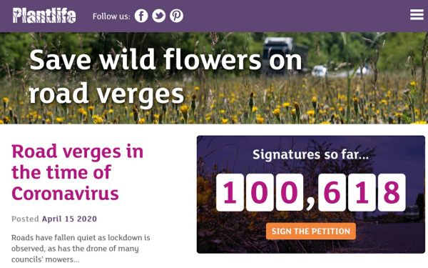 Plantlife campaign: Save wild flowers on road verges.