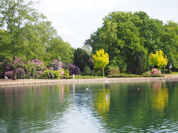 The Boating Lake, West Park, Wolverhampton.