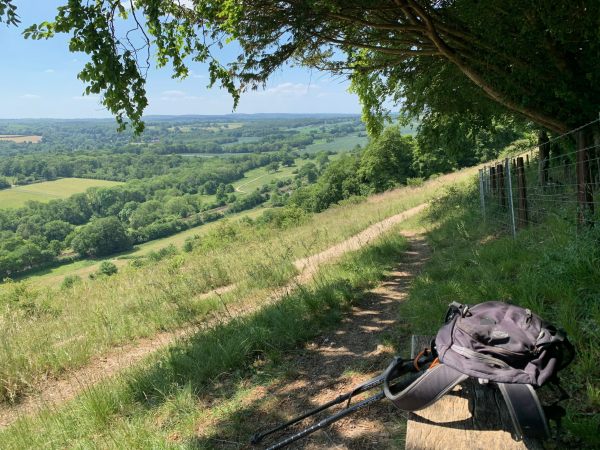 Denbies Hillside on 31 May 2020. Calm before Bobby's Rant!